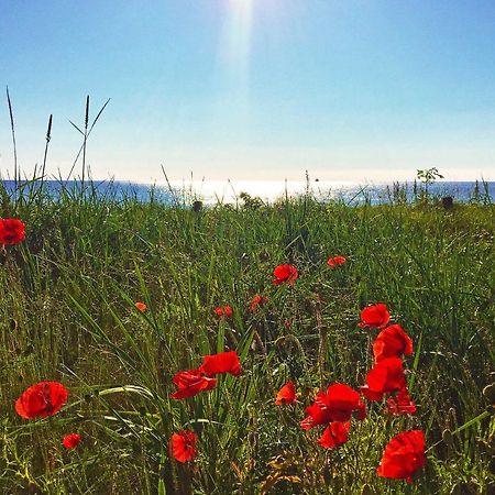 Strandresort Prora - Wg 114 Mit Meerblick بينز المظهر الخارجي الصورة